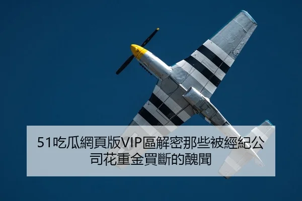 51吃瓜網頁版VIP區解密那些被經紀公司花重金買斷的醜聞